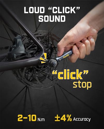 Fanttik X11 Ace Mini Bike Pump and WB10 NOVA Mini Torque Wrench