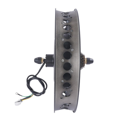 20 Inch 48V 2000W Rear Wheel Electric Bike Conversion Kit Fat Tire Brushless Gearless Hub Motor LCD Display Snow Bike Compatible Kit