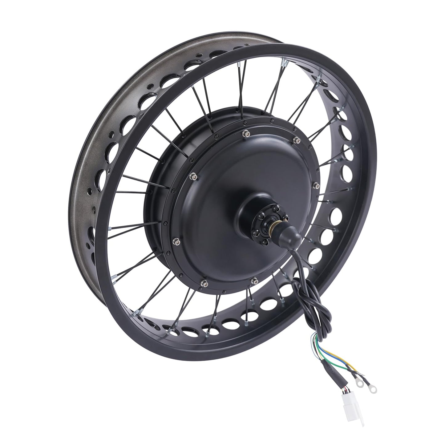 20 Inch 48V 2000W Rear Wheel Electric Bike Conversion Kit Fat Tire Brushless Gearless Hub Motor LCD Display Snow Bike Compatible Kit