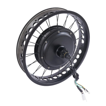 20 Inch 48V 2000W Rear Wheel Electric Bike Conversion Kit Fat Tire Brushless Gearless Hub Motor LCD Display Snow Bike Compatible Kit