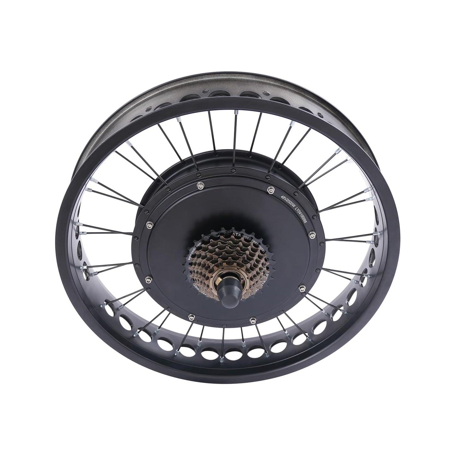 20 Inch 48V 2000W Rear Wheel Electric Bike Conversion Kit Fat Tire Brushless Gearless Hub Motor LCD Display Snow Bike Compatible Kit
