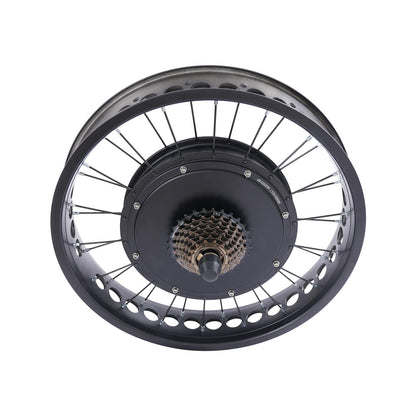 20 Inch 48V 2000W Rear Wheel Electric Bike Conversion Kit Fat Tire Brushless Gearless Hub Motor LCD Display Snow Bike Compatible Kit